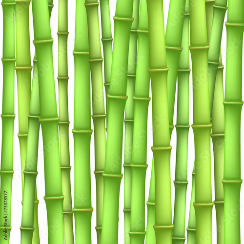 bamboo background