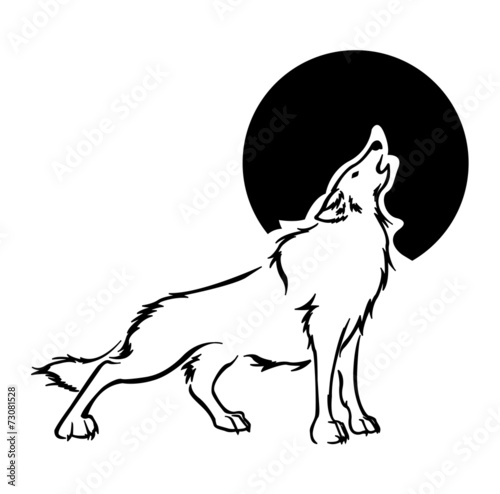 Wolf Illustration