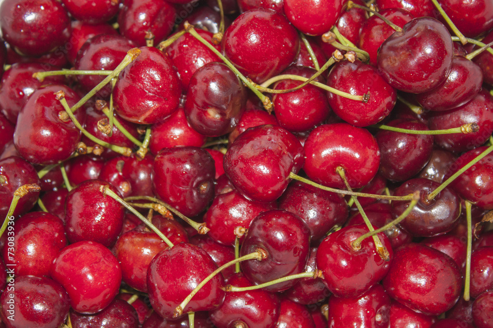 Freshly picked heap of sweet cherries.