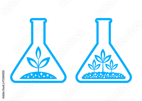 Plant in laboratory glass