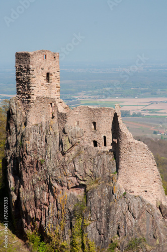 Chateau du Girsberg à Ribeauvillé et plaine d'Alsace photo