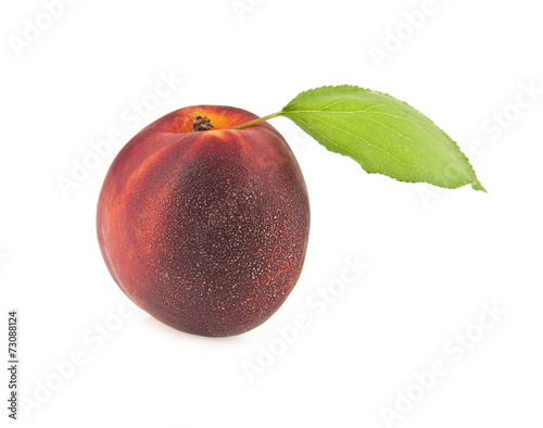 nectarine photo