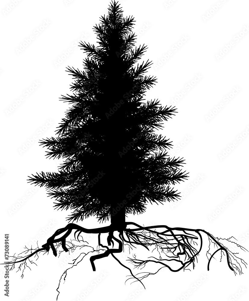 isolated black small pine tree with root Stock Vector | Adobe Stock