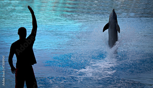 Dolphin training