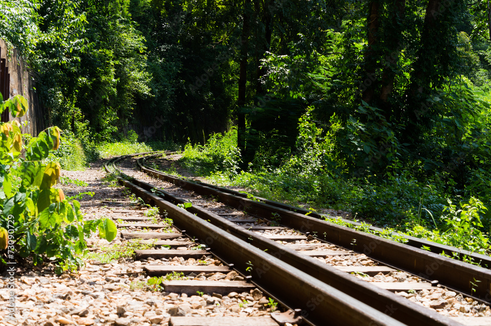 Fototapeta premium Railroad track vanishing into the distance