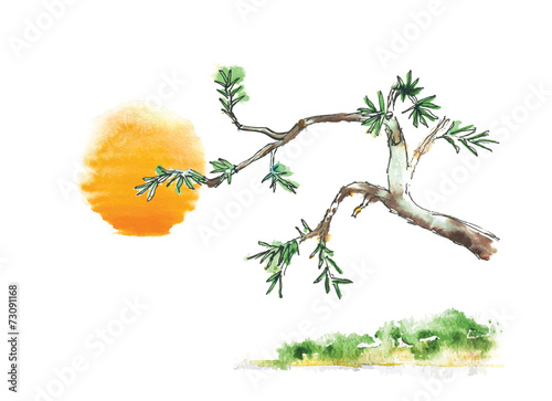 Branch of juniper tree against the sun, vector