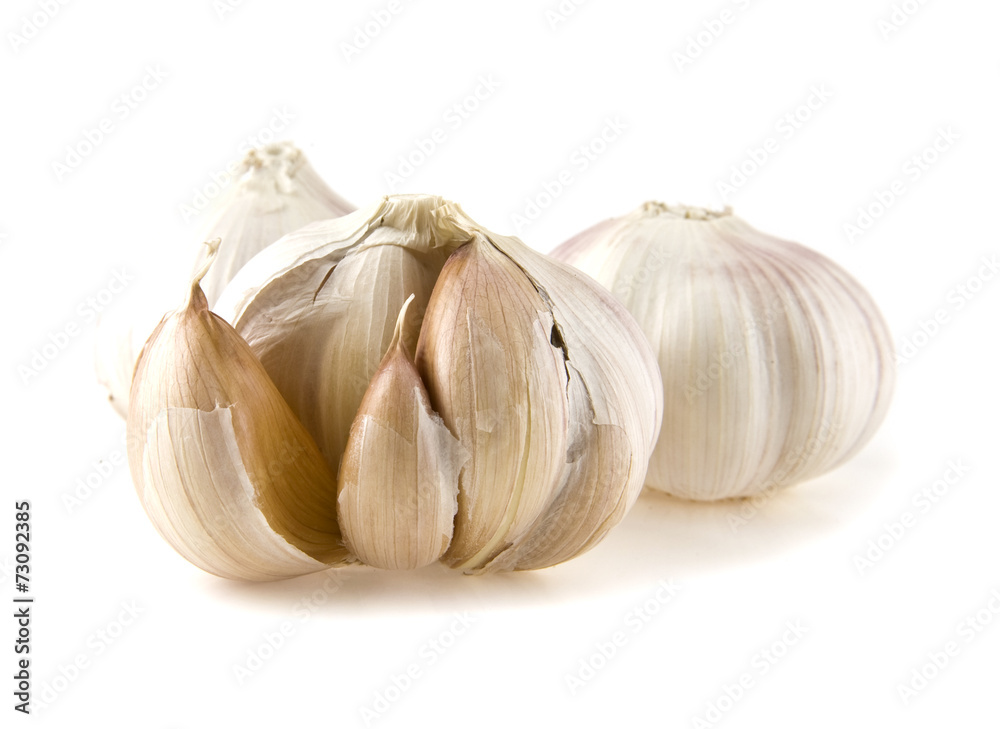 Obraz premium garlic