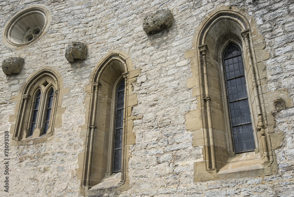 Fototapeta premium castle