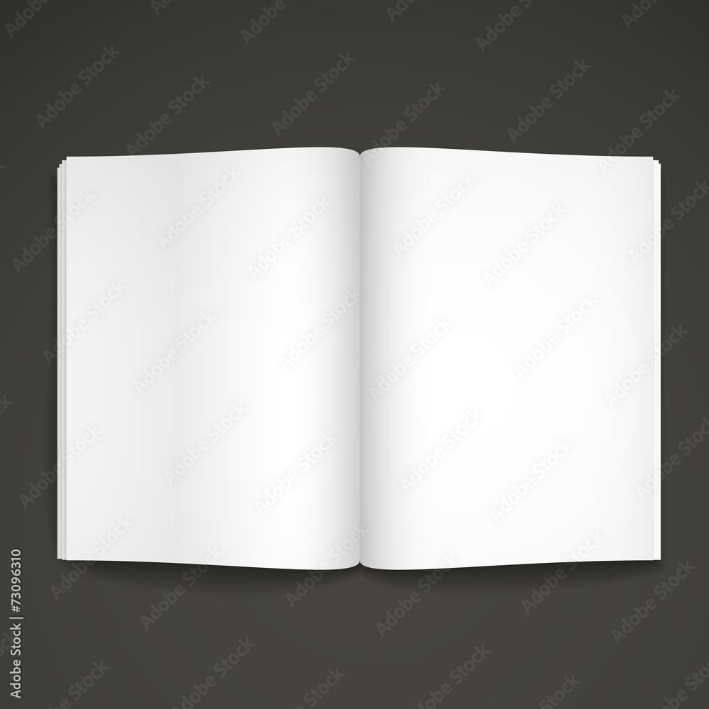 blank open book blank open book