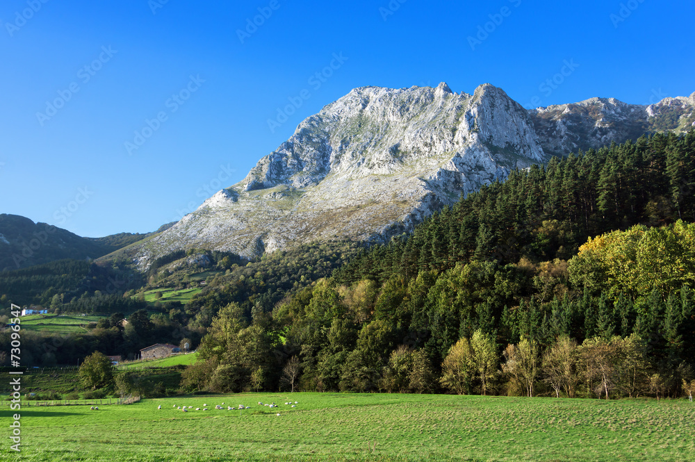 Atxondo valley with anboto mountain