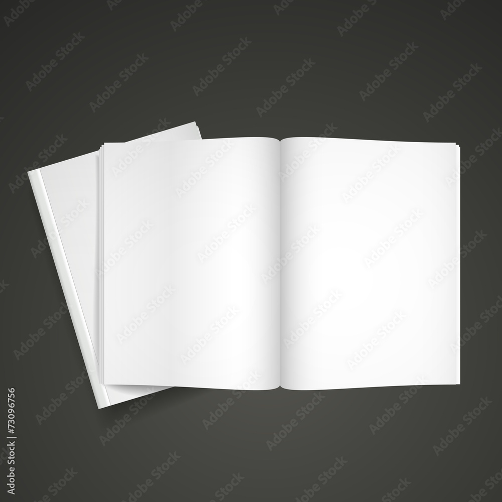 blank open book blank open book