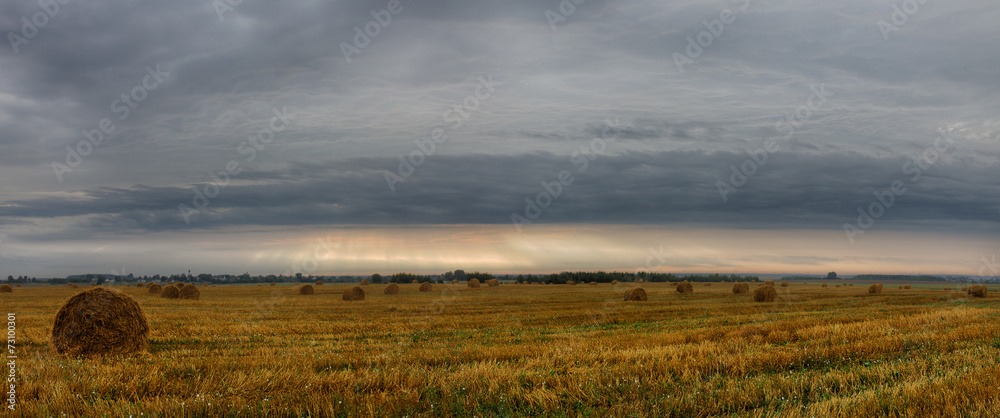 Fototapeta premium 13.11.20