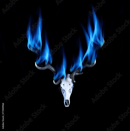 Hirschgeweih mit Feuer