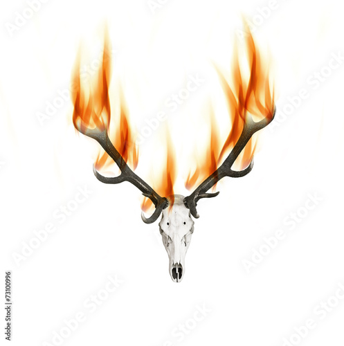Hirschgeweih mit Feuer