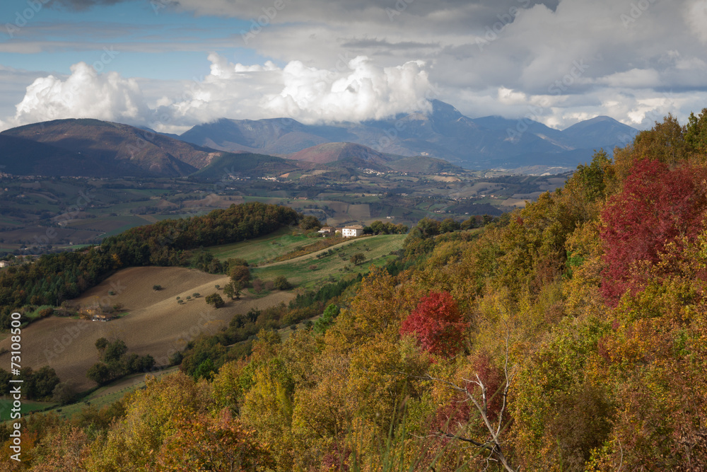 Paesaggio marchigiano