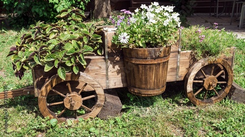 beautiful wooden cart with flowers