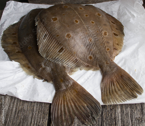 Valokuva flatfish