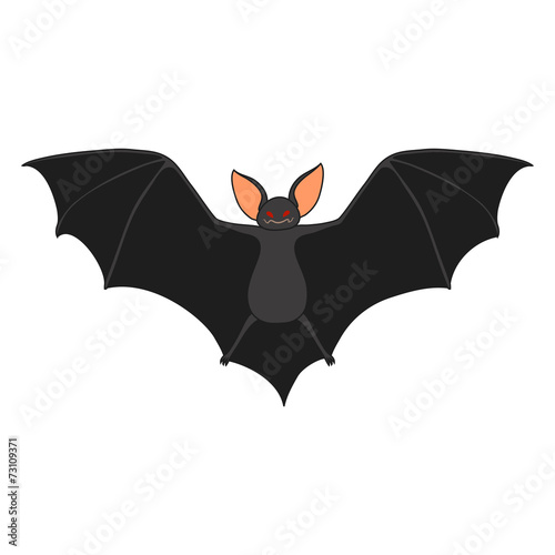 Vector Vampire bat