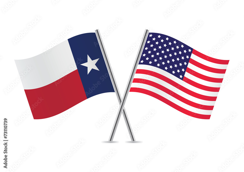 Texas and America crossed flags. Texan and American flags on white