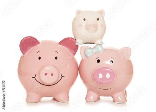 family finance piggy banks