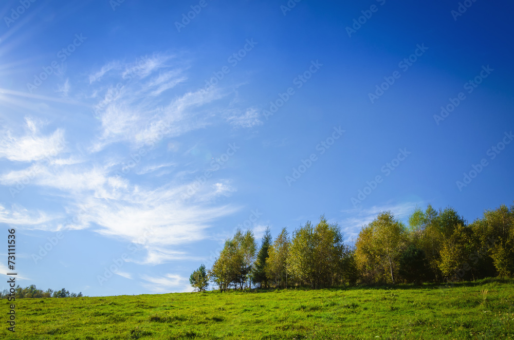 Idyllic landscape with an amazing blue sky