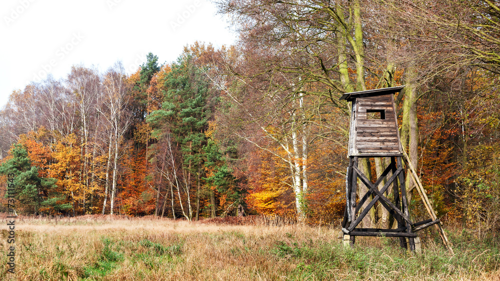 Fototapeta premium Panoramic view of a hunting pulpit in autumn.