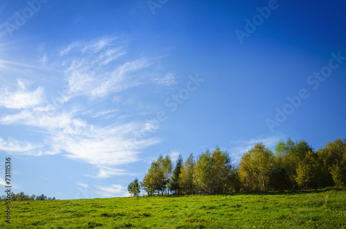 Idyllic landscape with an amazing blue sky