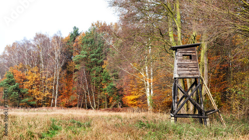 Panoramic view of a hunting pulpit in autumn. photo