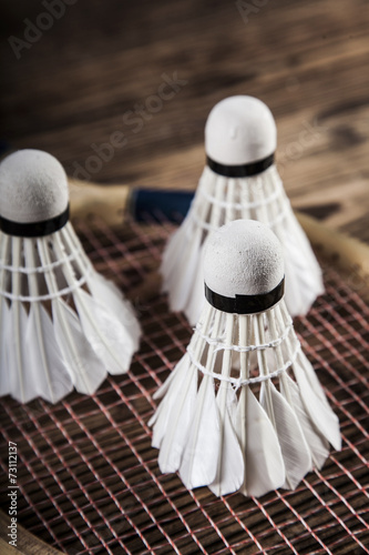 A set of badminton. Paddle and the shuttlecock. © BrunoWeltmann
