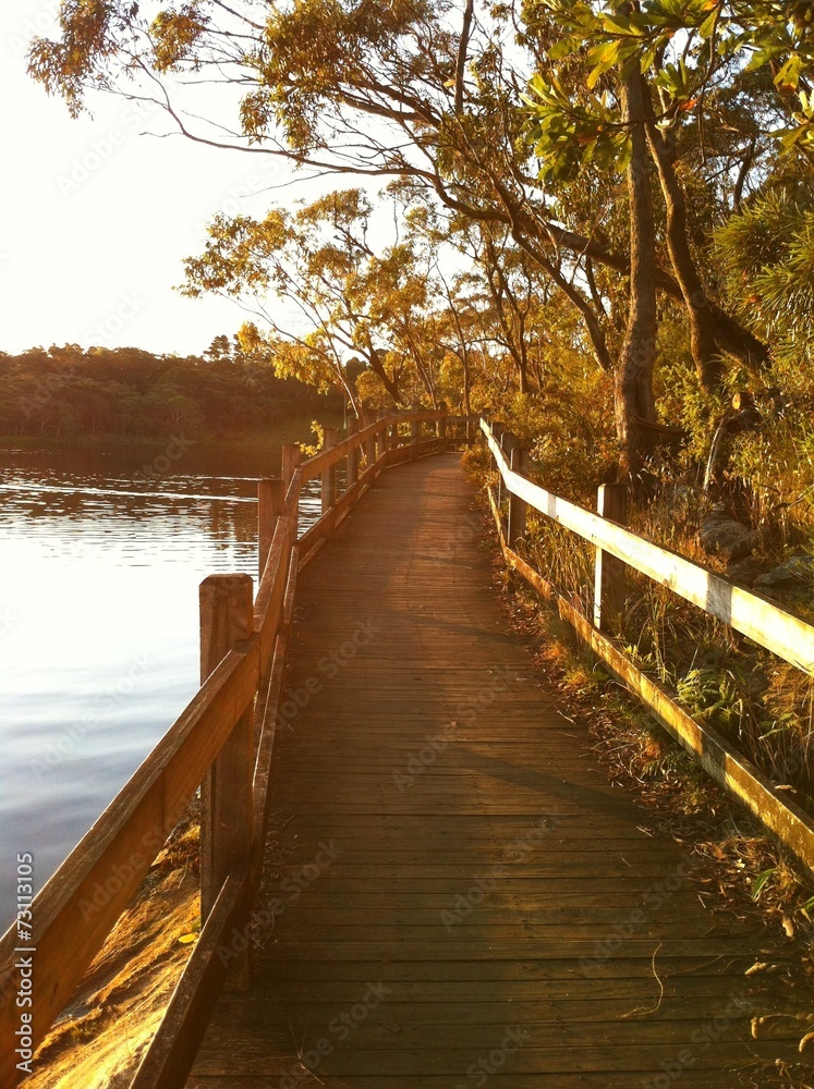 Wooden fenced pathway by lake Wooden fenced pathway by lake