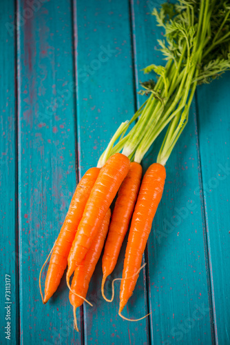 Farm fresh carrots on blue table