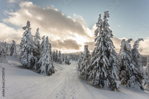 Fototapeta Naklejka Na Ścianę i Meble -  Winter landscape.