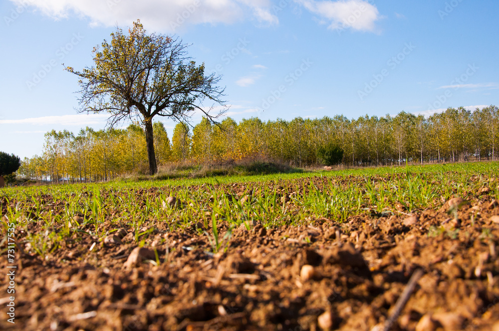 Obraz premium Paisajezamora