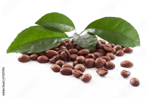 coffee beans close up isolated