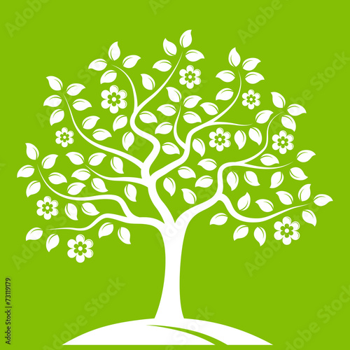 flowering tree