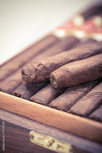 Photography cigars in open humidor. close up