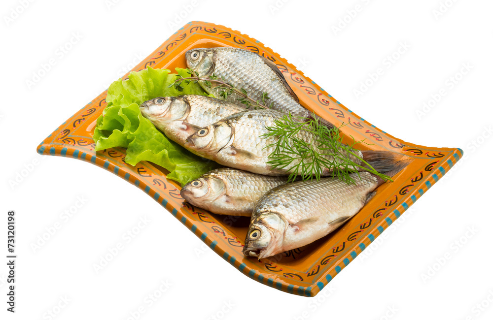 Crucian fish Crucian fish
