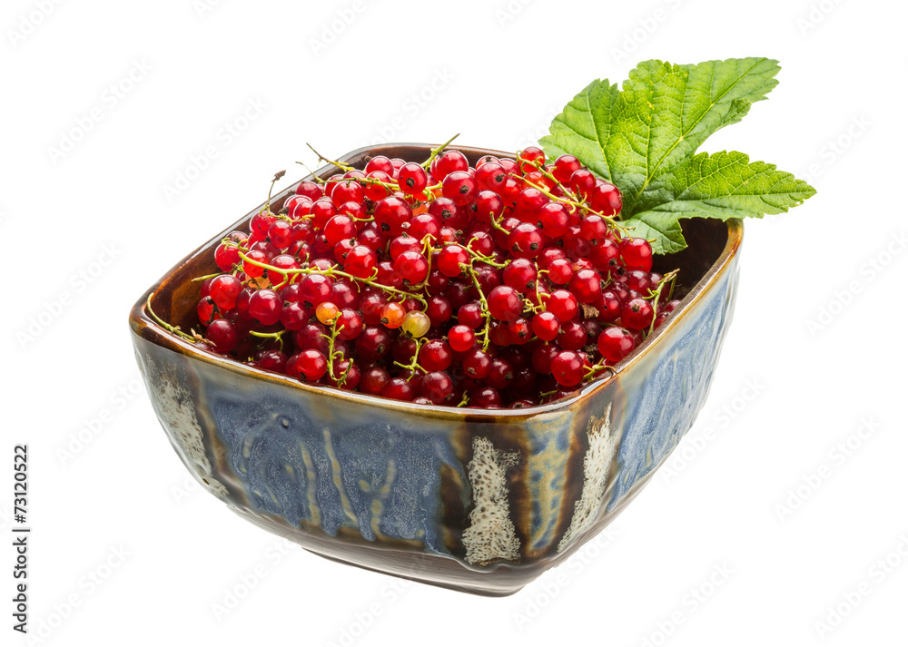 Red currant Red currant