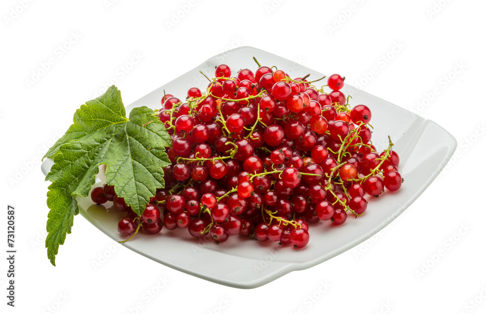 Red currant Red currant