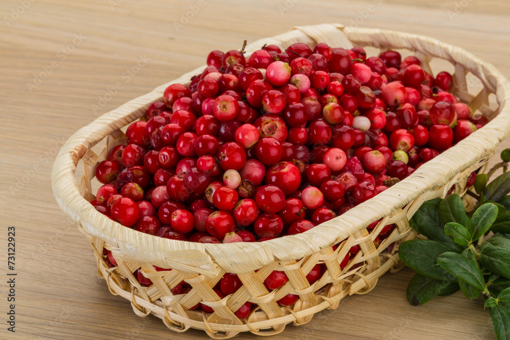 Cowberry Cowberry