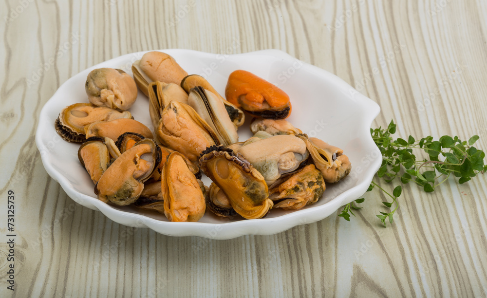 Mussels Mussels
