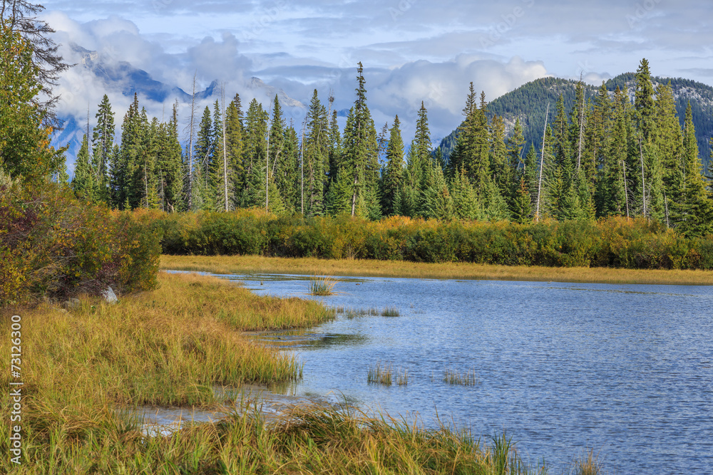 Nature Canada Nature Canada