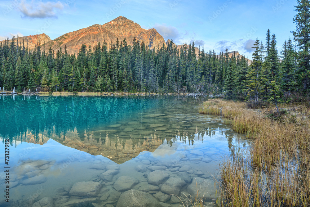 Fototapeta premium Nature Canada
