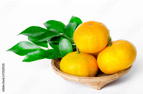 Many ripe orange fruit and leaves.