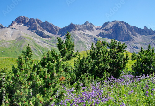 col du galibier