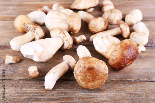 Wild mushrooms on wooden table