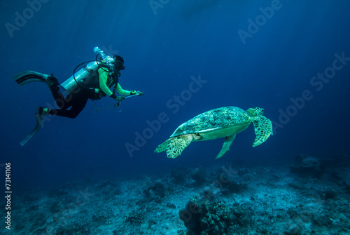 Diver and green sea turtle in Derawan, Kalimantan underwater photo