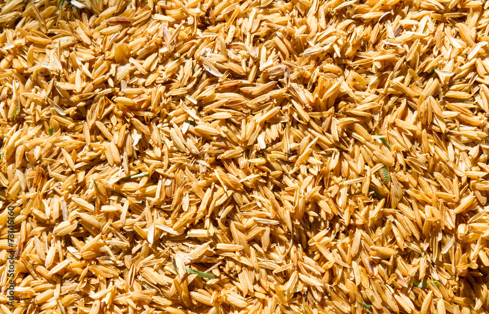 Rice husk on the floor.