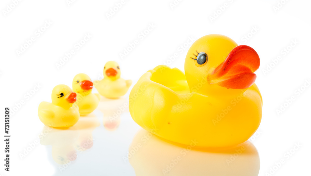 Yellow rubber duck isolate Yellow rubber duck isolate