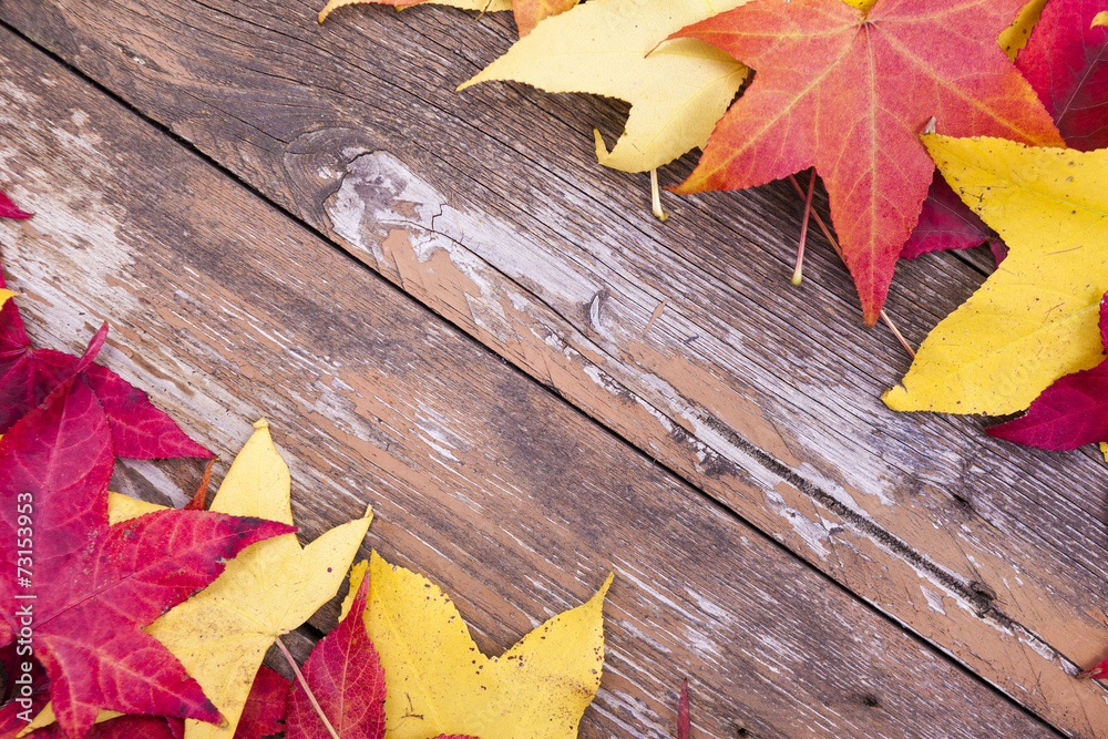 Autumn leaves over aged wooden background